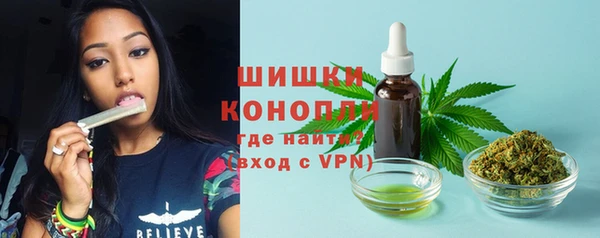 ешки Надым